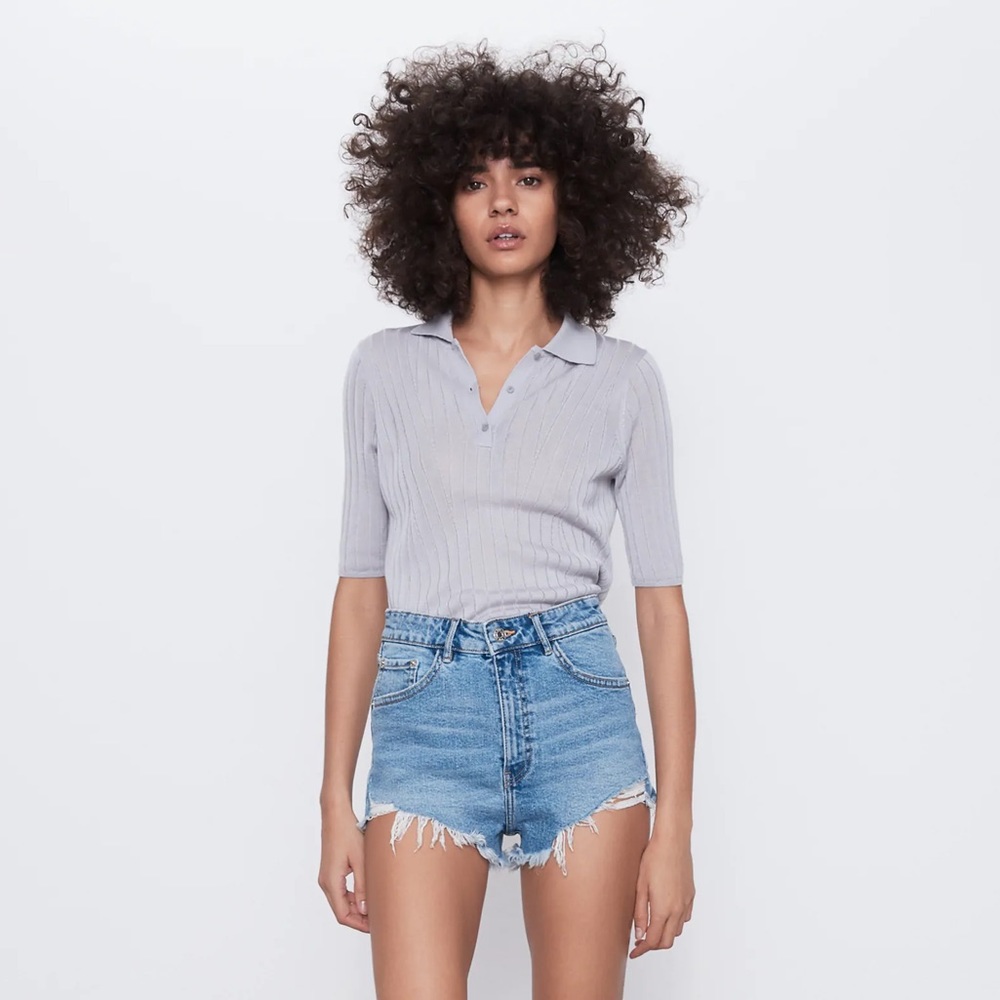 Zara High Rise Denim Shorts